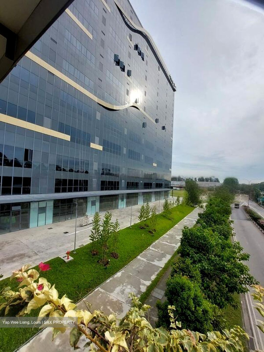 REVV (D22), Factory #460755551